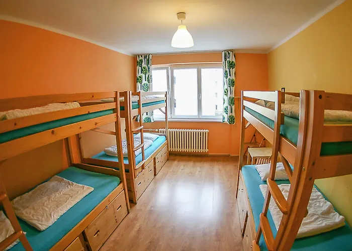 Patio Auberge de jeunesse *